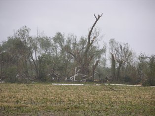 Another photo of irrigation debris. Photo by NWS Staff.