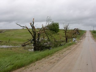 Damage to trees and irrigation piping debris. Photo by NWS Staff.