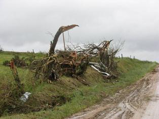 Damage to trees along side a gravel road in Hamilton County Nebraska. Photo by NWS Staff. 