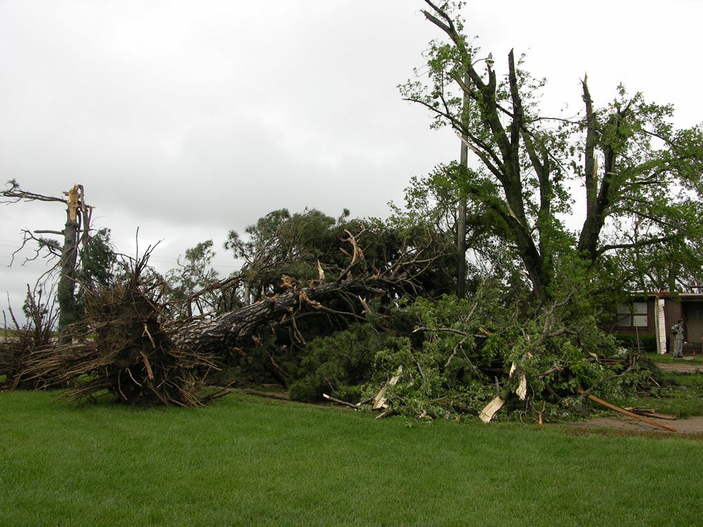 Picture of damage from EF3 Polk Tornado. Photo by NWS staff.