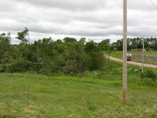 Trees trunks snapped like toothpicks. Photo by NWS Staff.