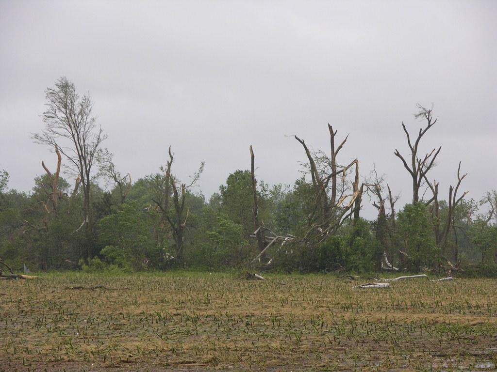 Irrigation pipe and tree damage north of Hampton. Photo by NWS Staff.