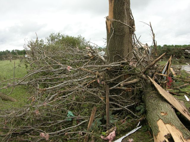 Twisted tree limbs and debrison Highway 92 near Osceola, NE. Photo by NWS Staff.
