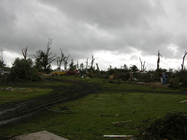 Trees stripped by the tornado on Highway 92 near Osceola, NE. Photo by NWS Staff.