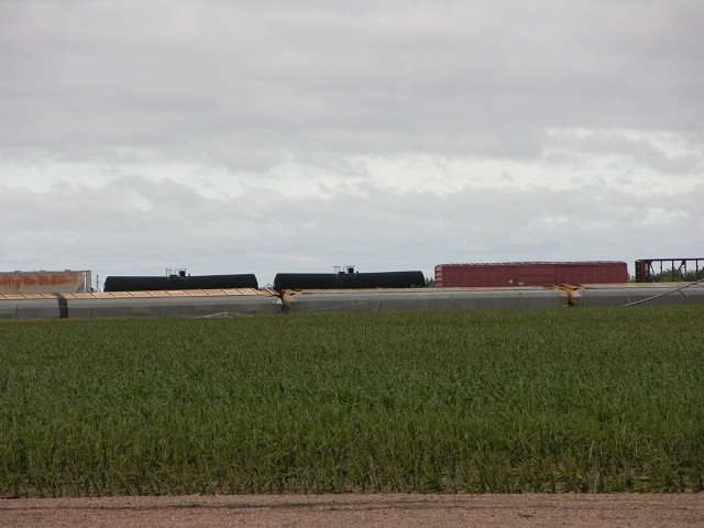 Train derailed near Bradshaw. Photo by NWS Staff. 