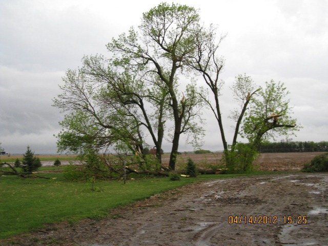 Storm damage one mile north of Alexandria, NE. Photographs by Thayer County Emergency Management.