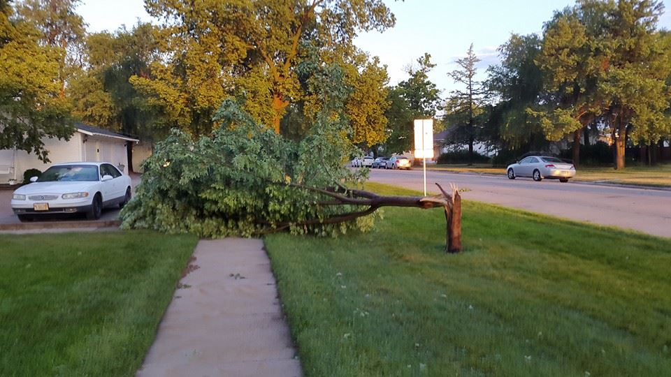 Wind Damage from a Severe Storm. (Photo Courtesy of Eric Mortimore)