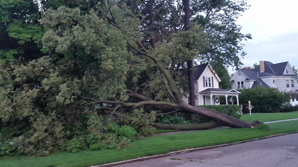 Additional Wind Damage from a Severe Storm.(Photo Courtesy of Eric Mortimore)