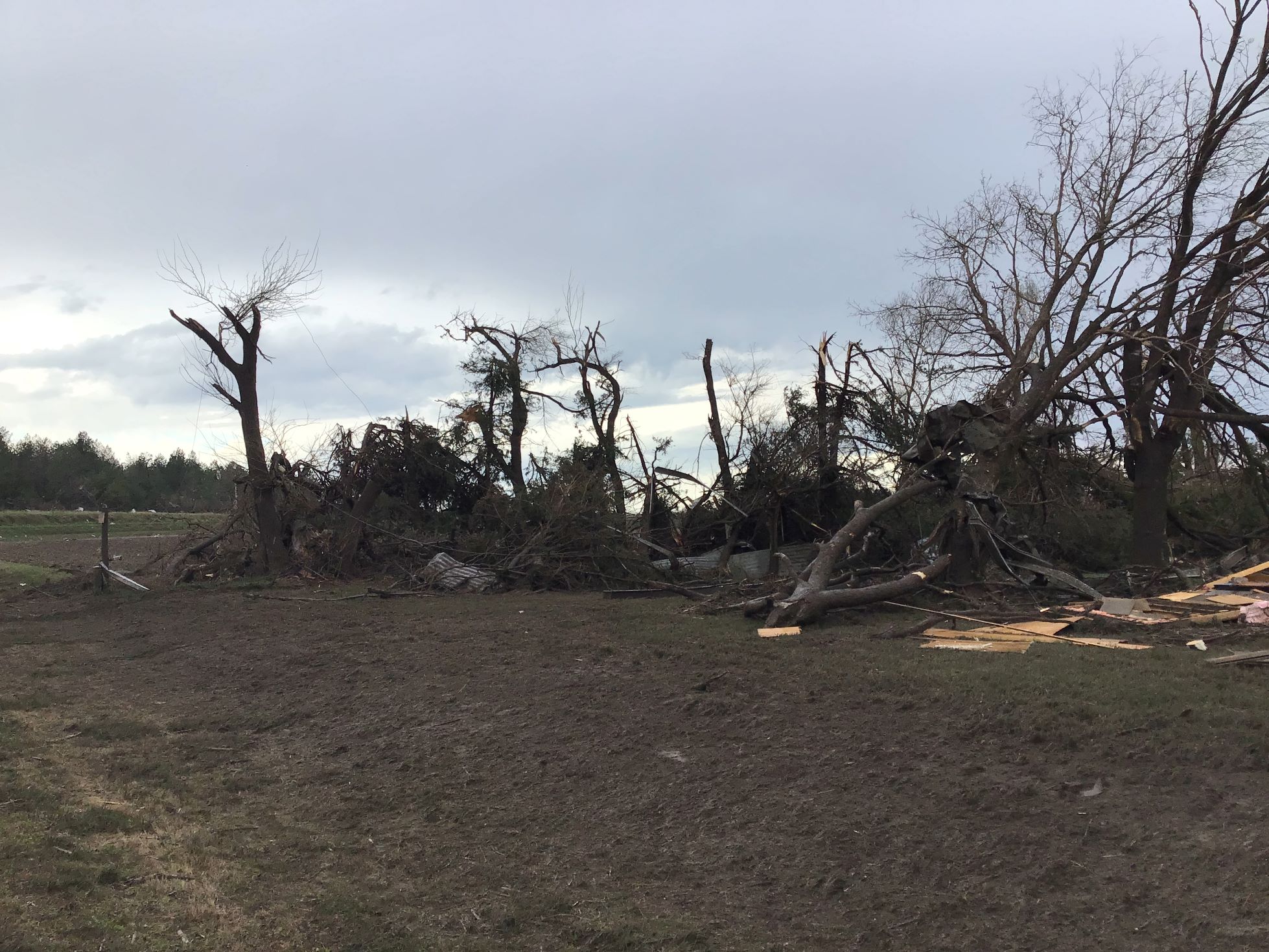 Tornado Damage