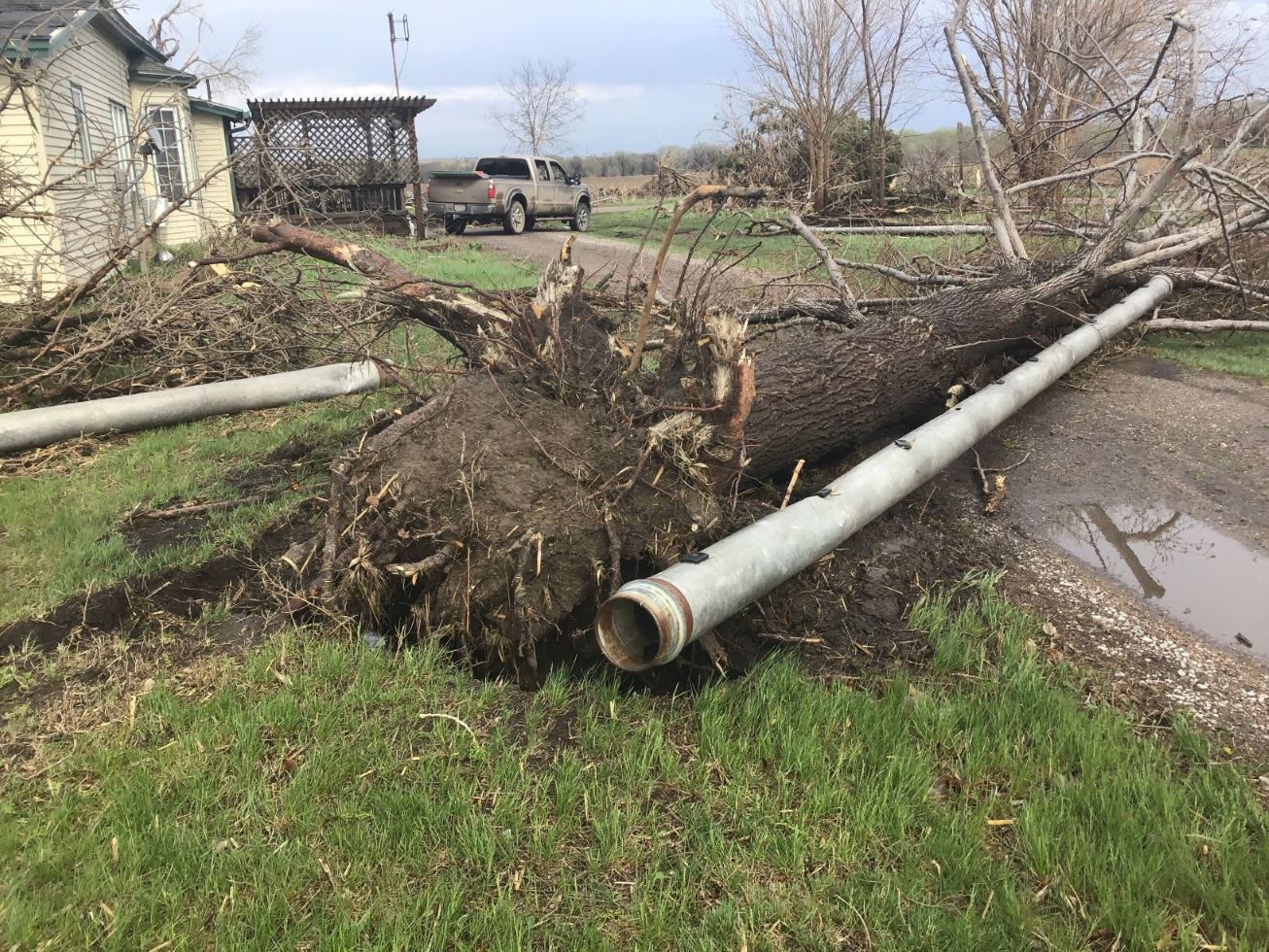 Tornado Damage