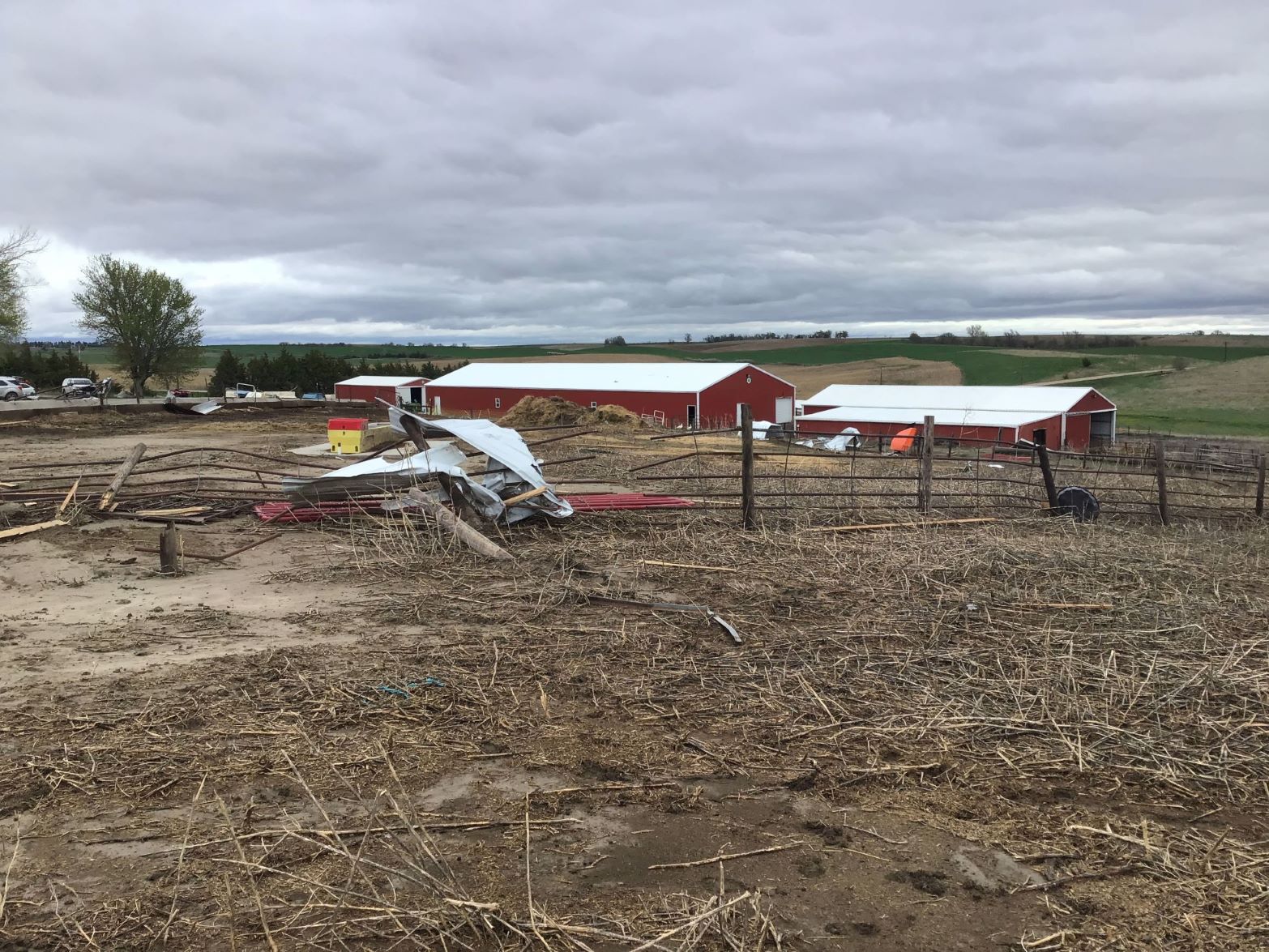 Tornado Damage