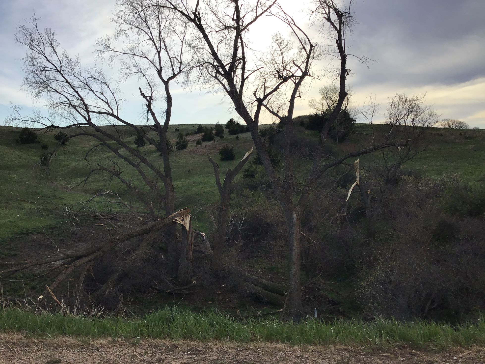 Tornado Damage