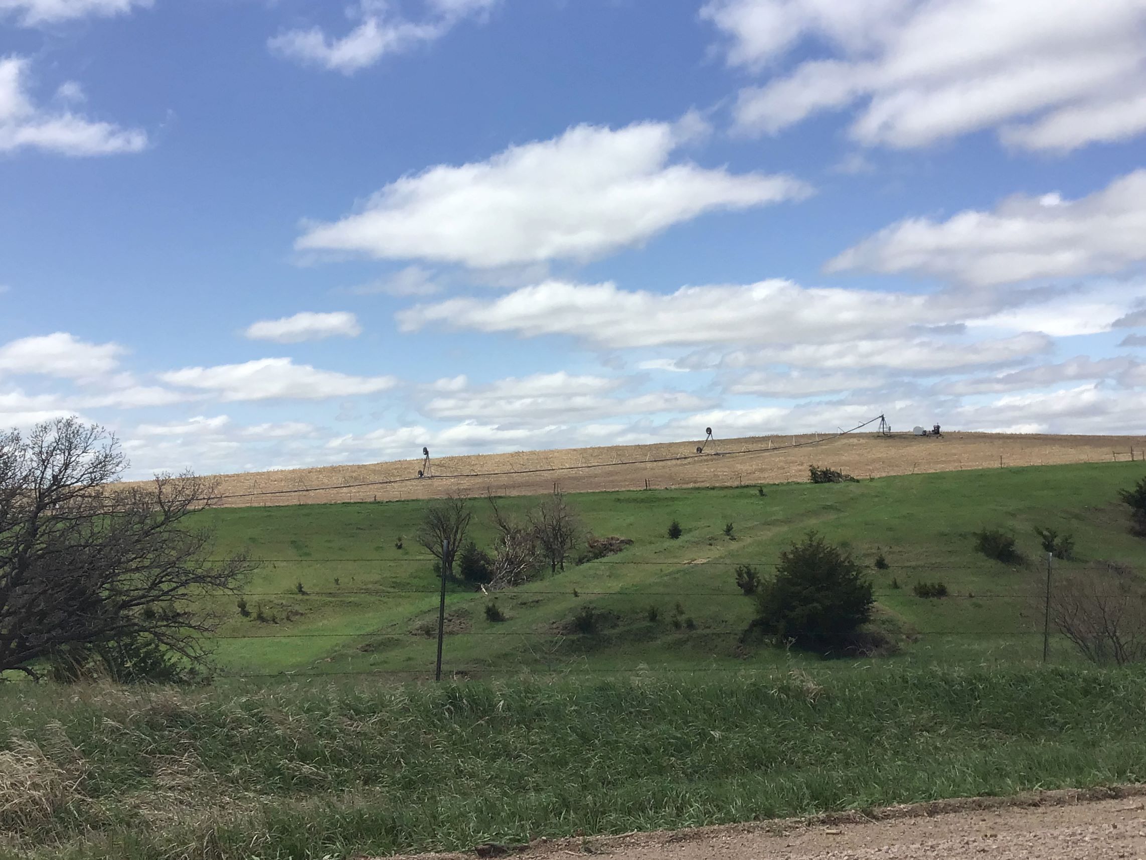 Tornado Damage