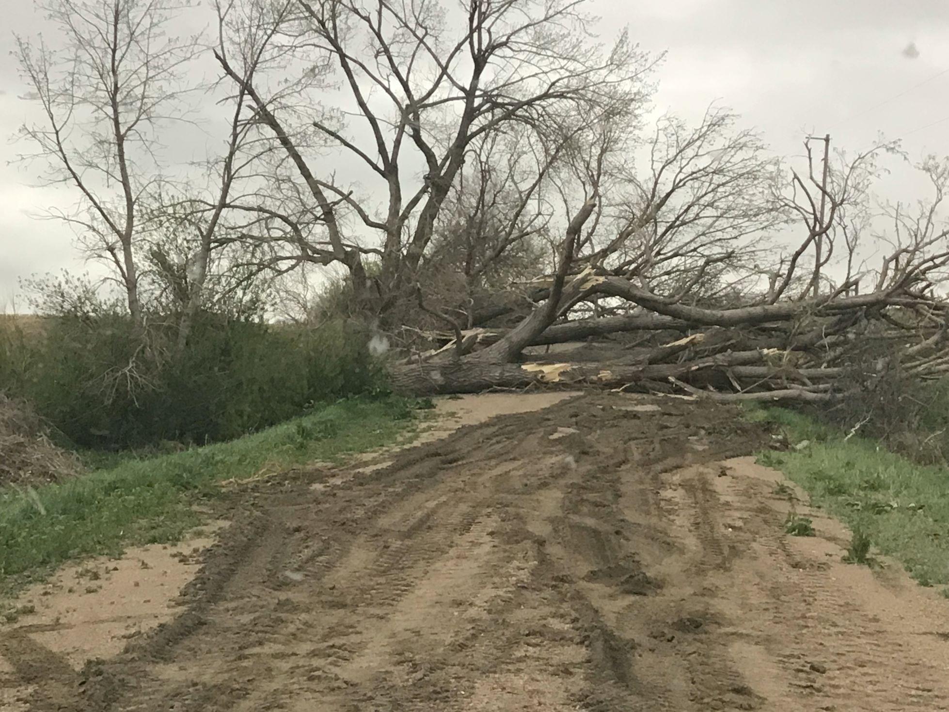 Tornado Damage