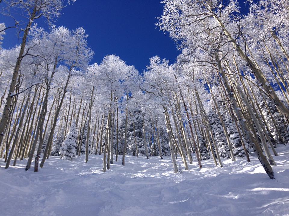 Photo - Aspen