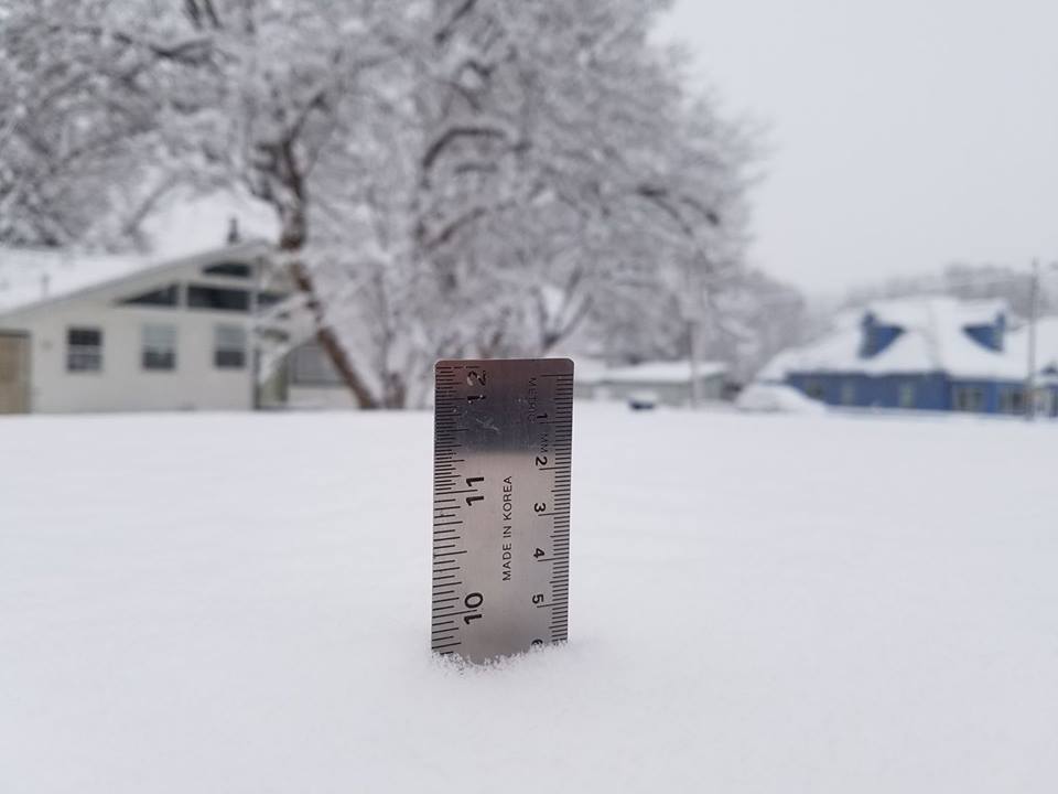Picture showing ruler in 10 inches of snow in Dolores, CO. 