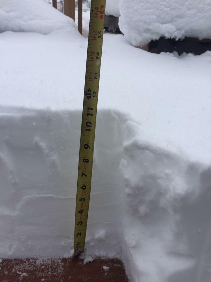 Image showing 11 inches of snow near Pagosa Springs, CO