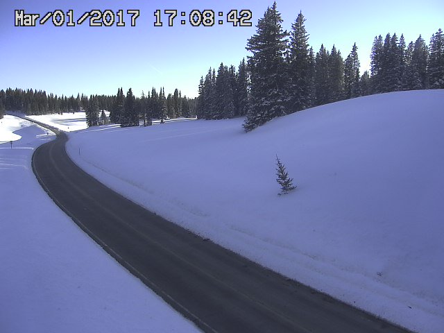 After the storm photo of fresh snow along Highway 65 over the Grand Mesa