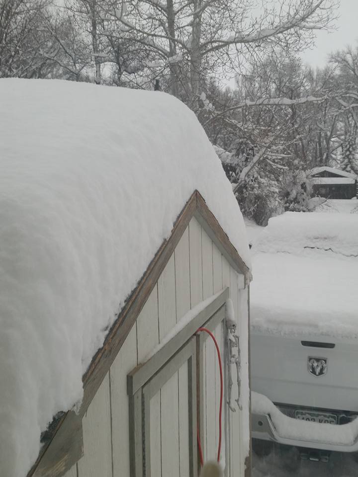 Image of snowfall in Gunnison