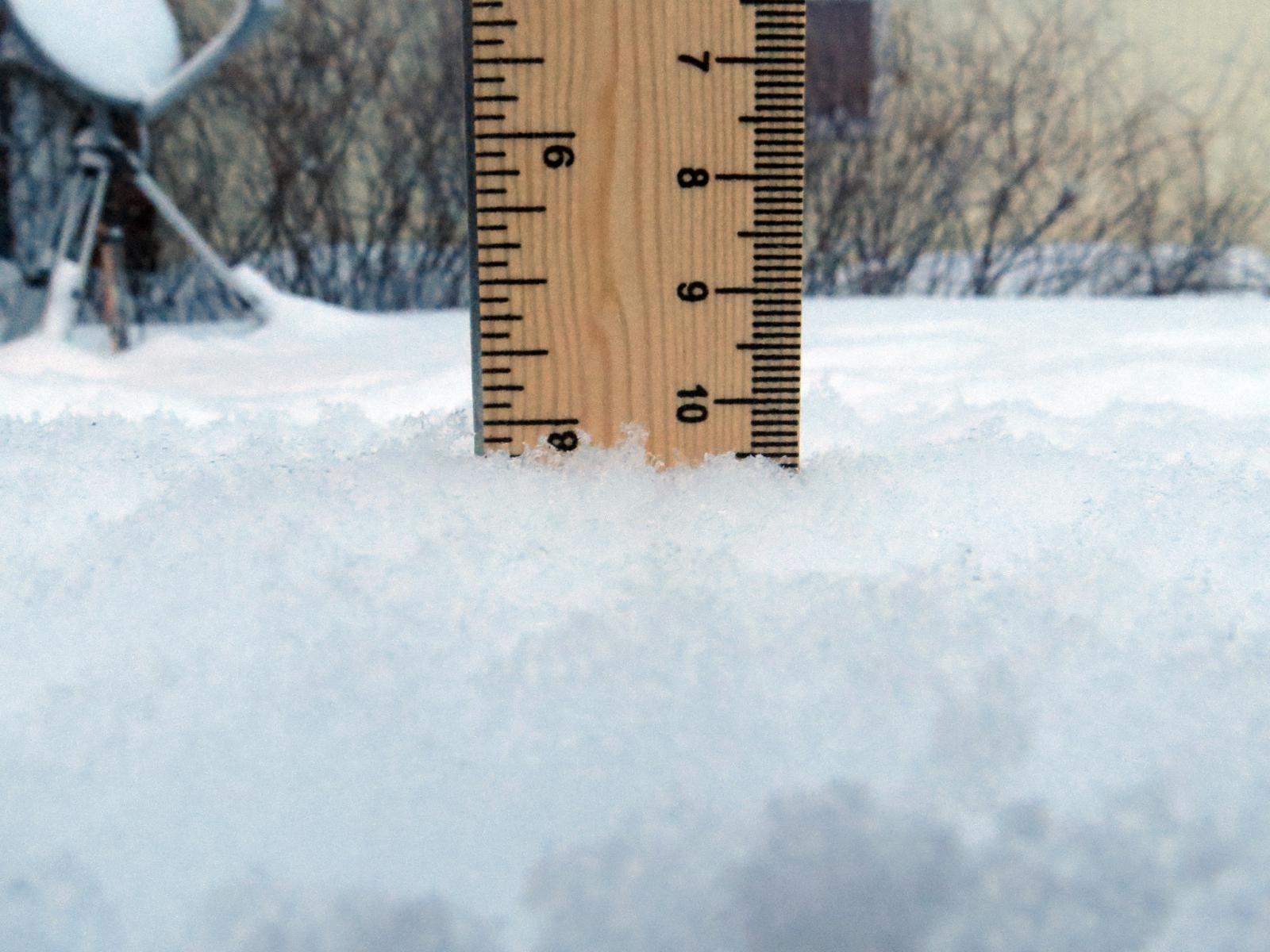 Photo of a ruler in the snow