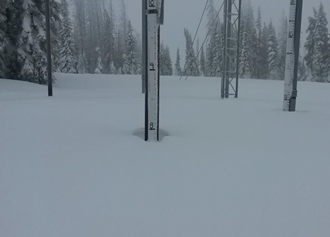 Image of Tower SNOTEL near Steamboat Springs