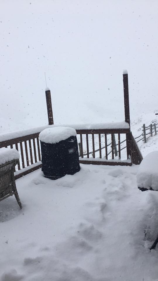 North of Hayden, CO