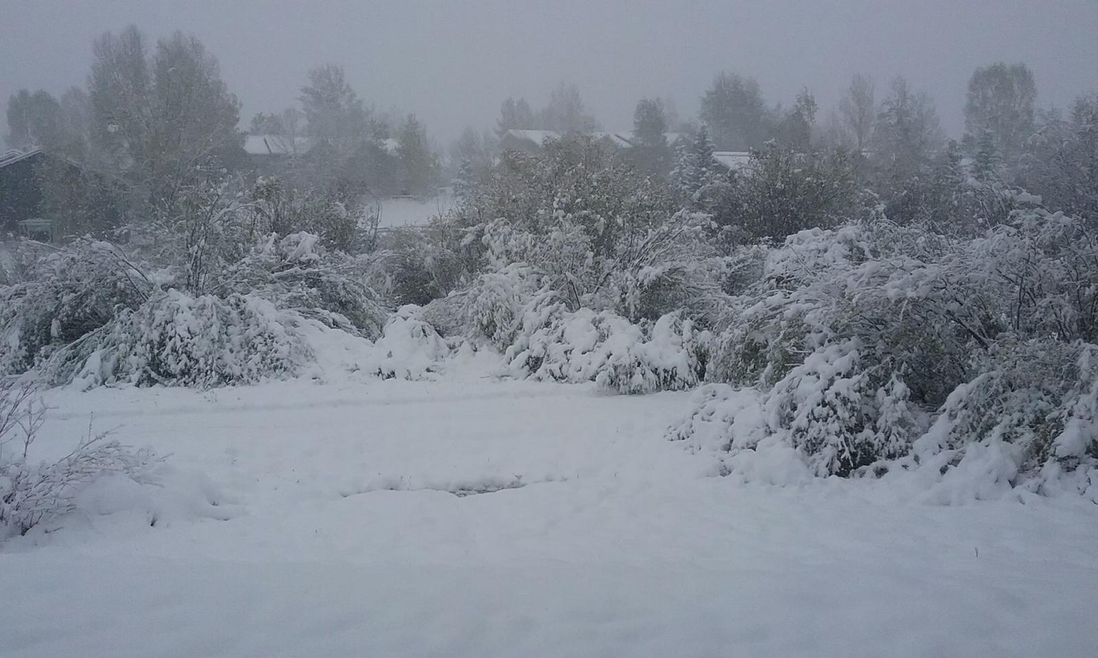 Steamboat Springs Valley, CO