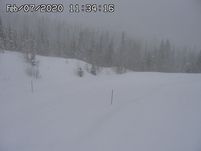 Gore Pass on Feb 7, 2020