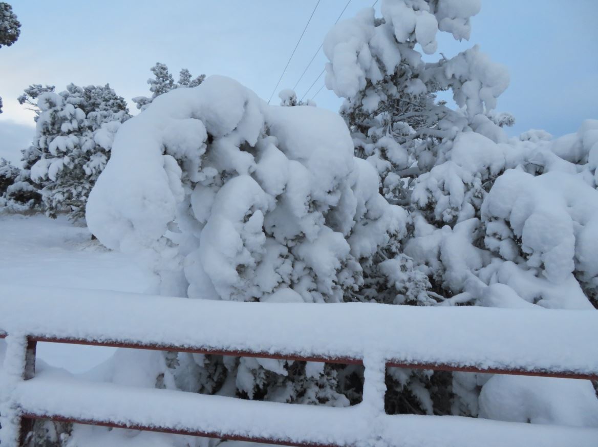 Durango, Colorado (Credit: Stagger & Lurch Twitter)