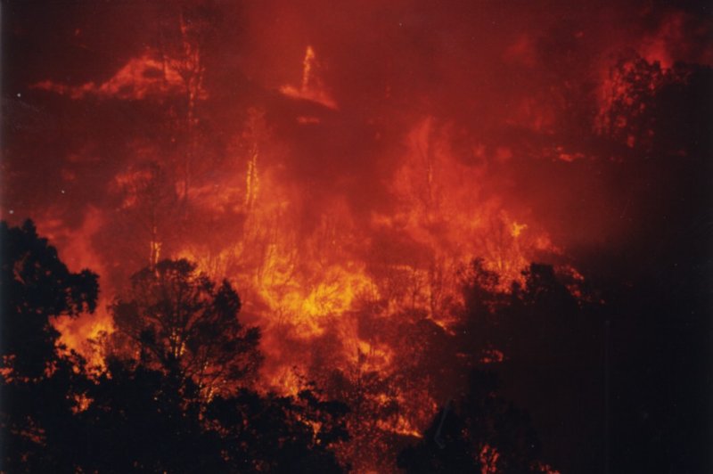 Photo of a raging forest fire