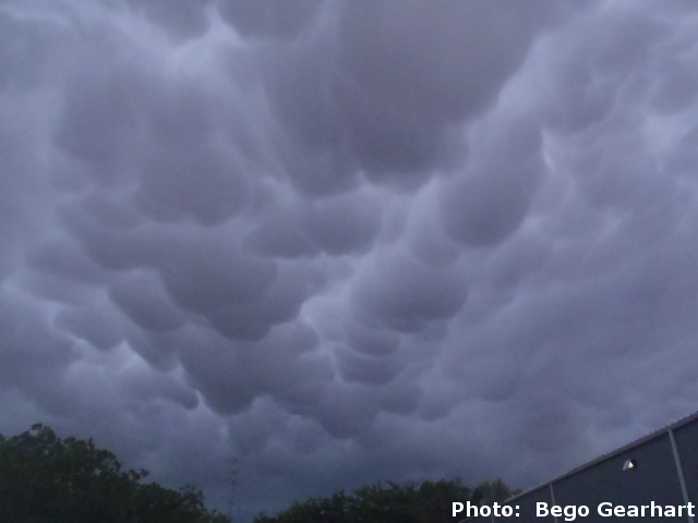 Mammatus