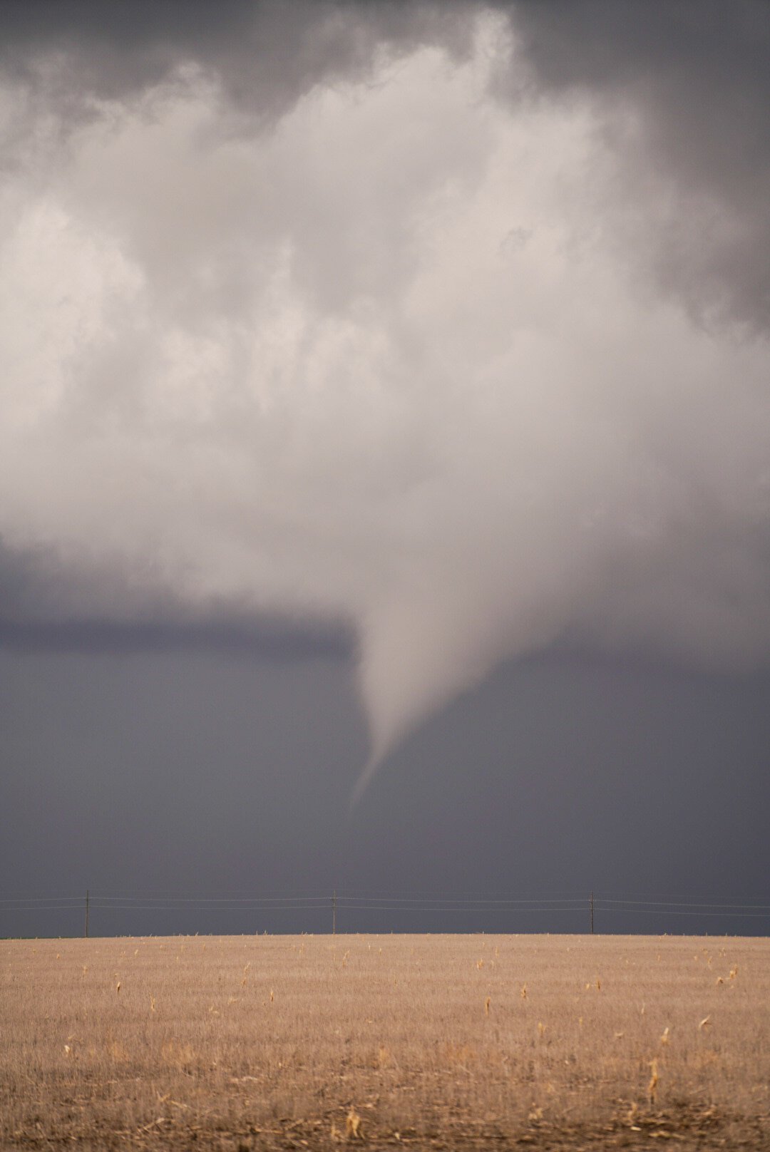 Weskan Tornado - Bleachers Tossed