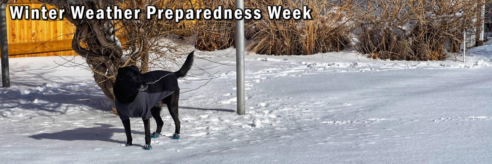 Winter Weather Preparedness Week