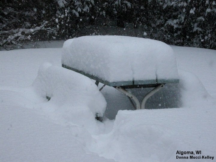 Algoma snowfall - Click for larger view