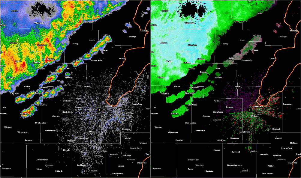 Radar Image