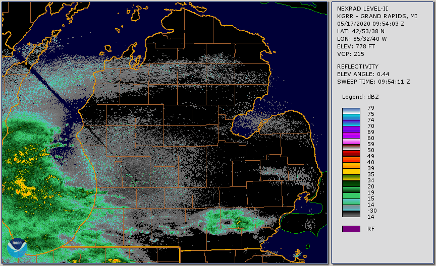 Radar Animation