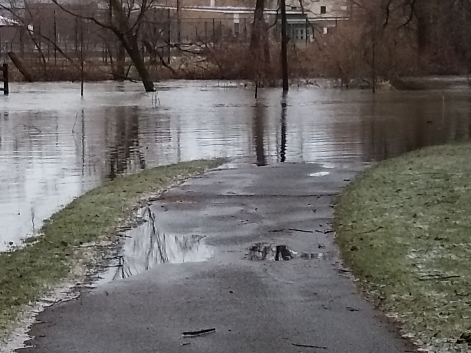 Hydrograph