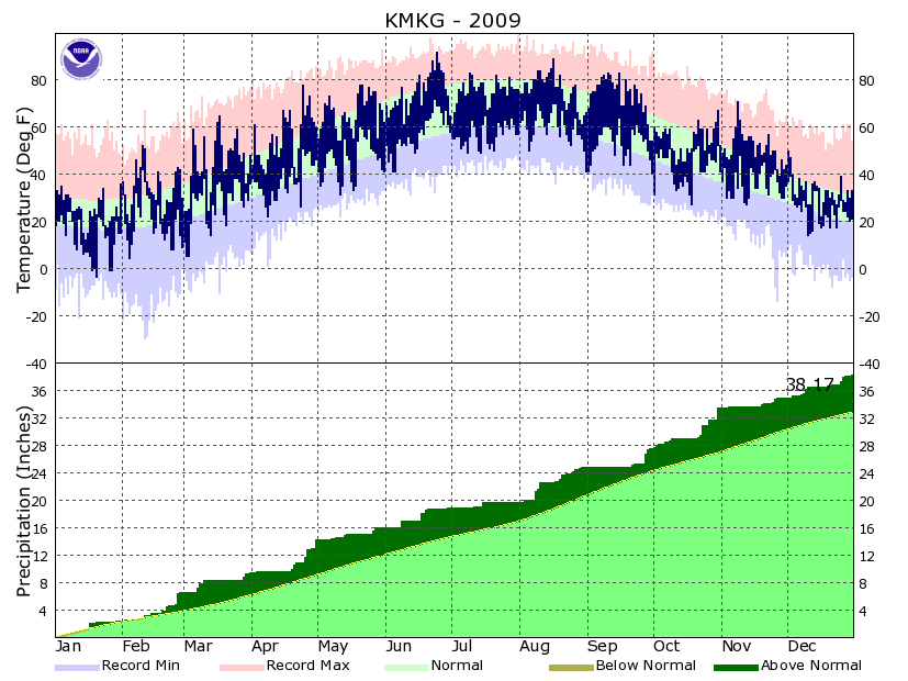 Year to Date