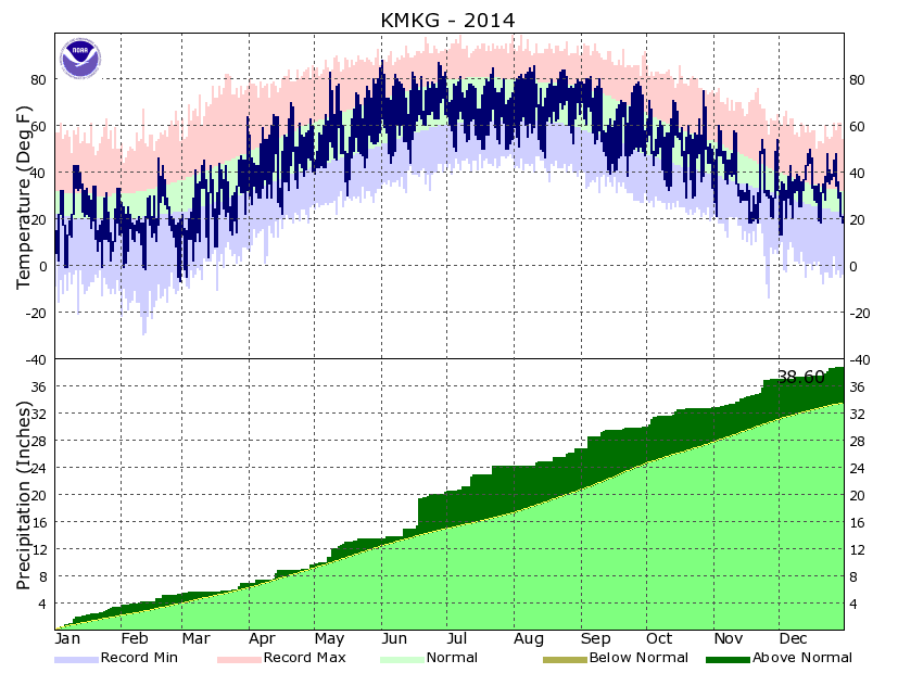 Year to Date