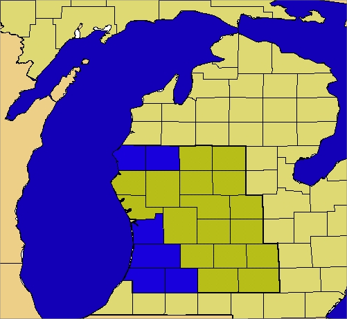 Map of Grand Rapids County Warning Area, highlighting Allegan, Kalamazoo, Lake, Mason, Ottawa and Van Buren Counties in blue.