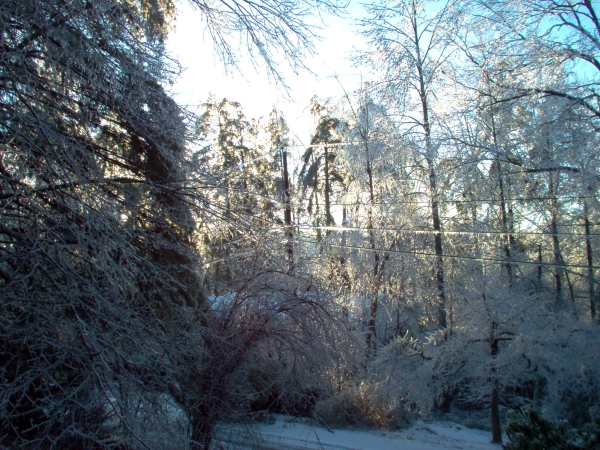 Heavy ice accumulation near Hendersonville, NC