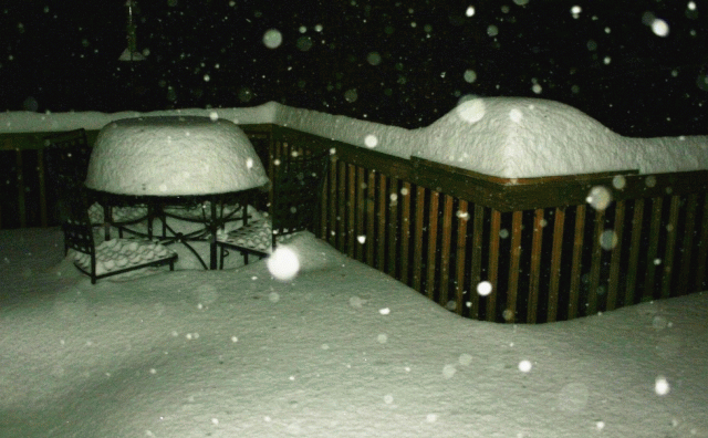 Snowfall at 3800 feet above Lake Junaluska at 500 am on 19 December