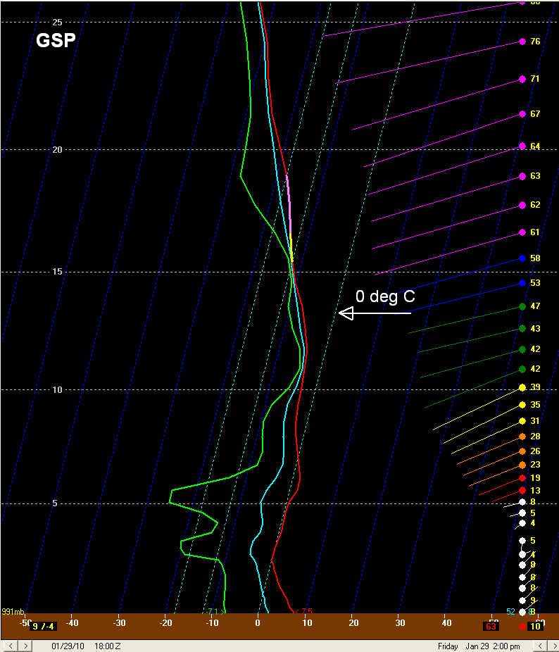 NAM-80 initial analysis profile for GSP at 1800 UTC 29 January 2010