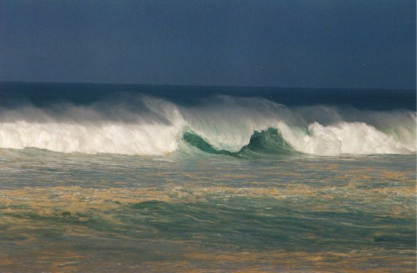 Waimea Bay waves