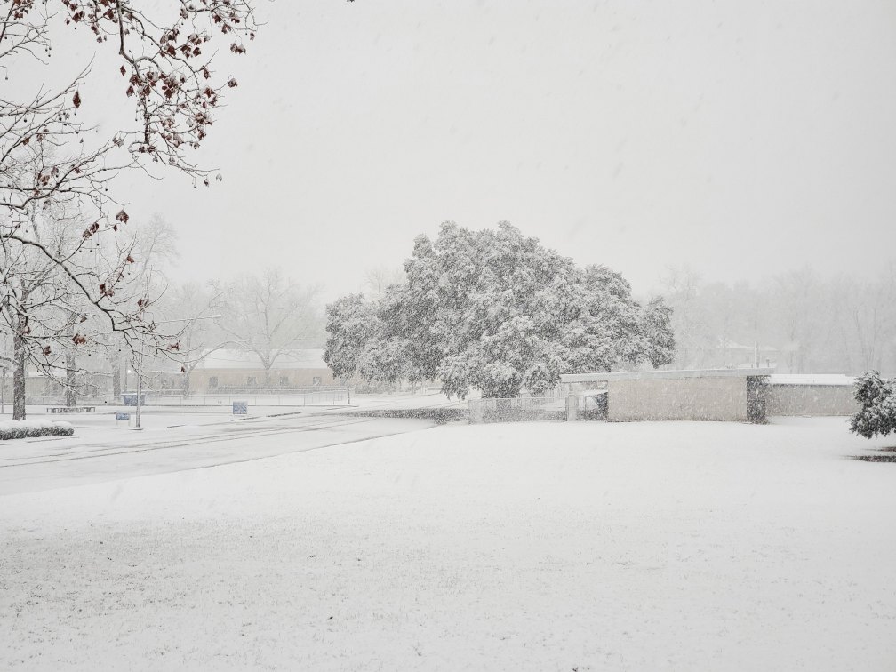 Snowy Scene in Crockett (via Butch C. on Twitter)
