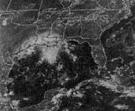 Visible satellite image of Danielle taken at approximately 2:01 PM CDT on September 5, 1980 making landfall along the upper TX coast.