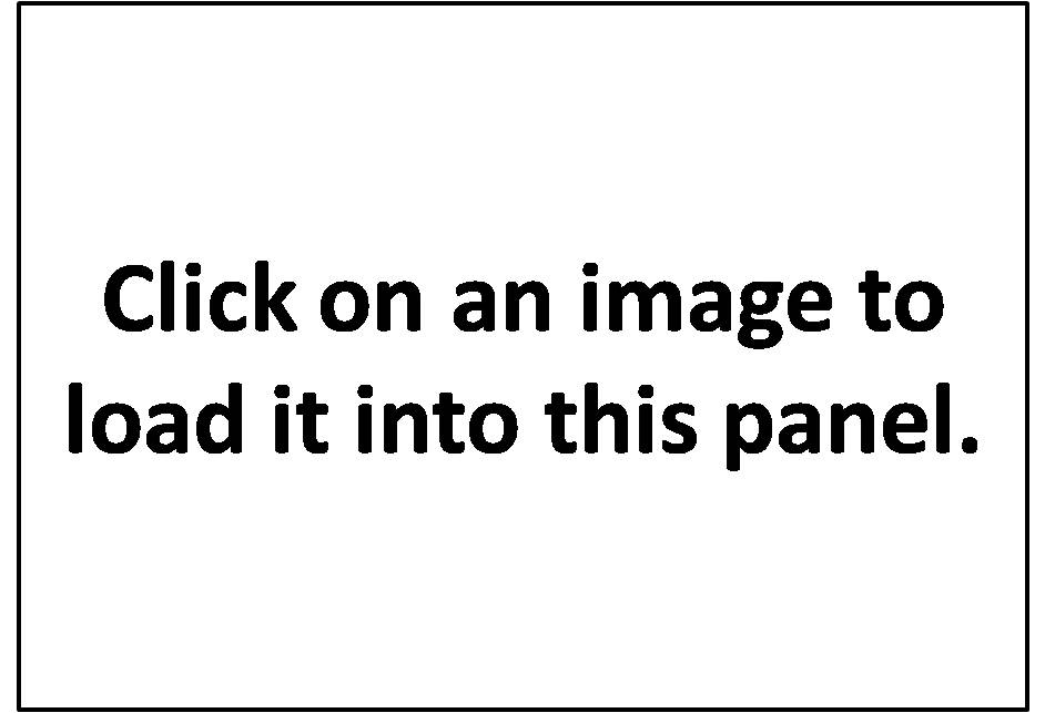 Large image