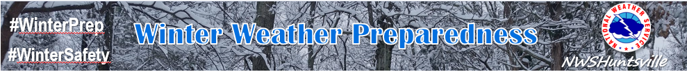 Winter Preparedness Banner