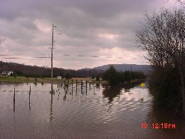 Flooding of a Christmas tree farm on McCuthceon Loop Road in the Lacey Springs area.