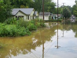 Flooding along Maple Street in north Scottsboro 1 block north of Willow. 